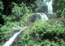 waterfall_yong.jpg (6686 bytes)